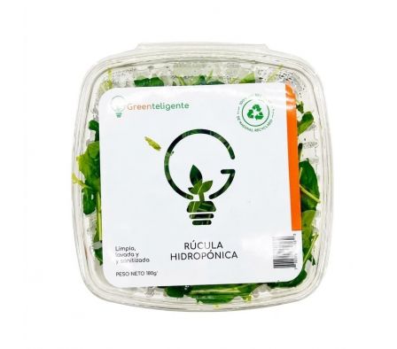 RUCULA HIDROPONICA GREENTELIGENTE 