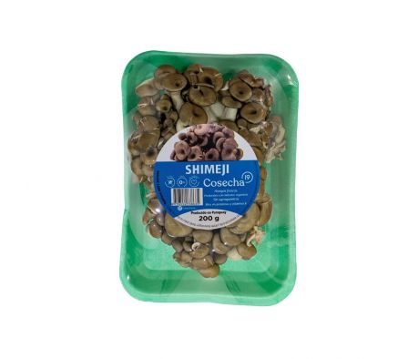 SHIMEJI COSECHA 19 200GR