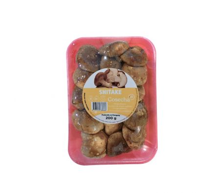 SHITAKE COSECHA 19  200GR