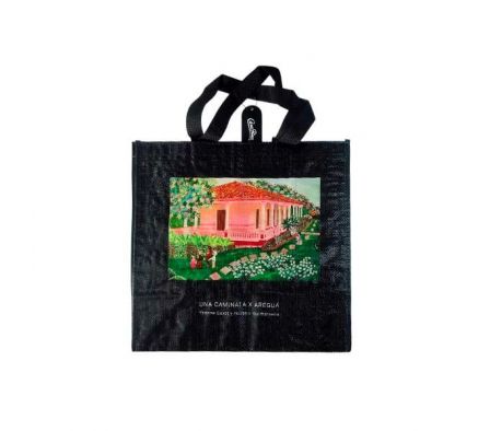 BOLSA ARTÍSTICA YSANNE  (Villa Gisela)