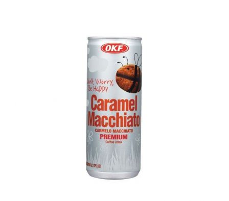 BEBIDA CARAMEL MACCHIATO PREMIUM 240ML