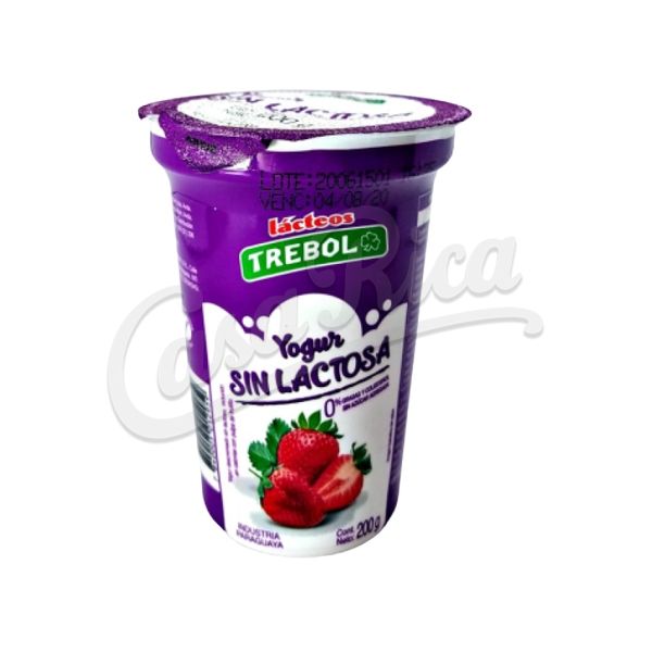 Yoghurt descremado sin lactosa 360 g