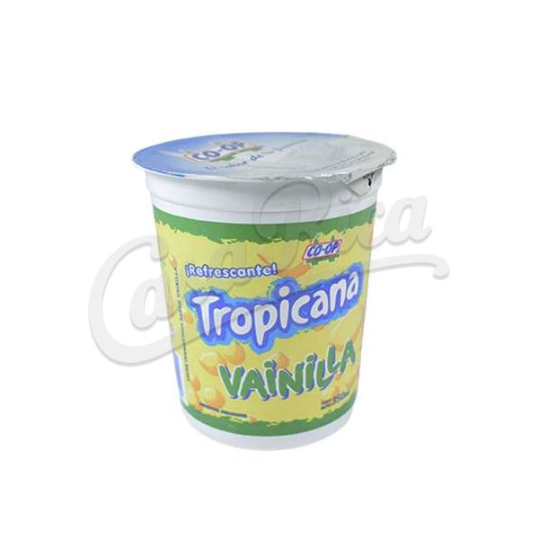 YOGHURT TREBOL ENTERO SIN LACTOSA NATURAL 350GR.